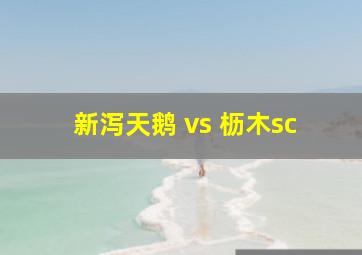 新泻天鹅 vs 枥木sc